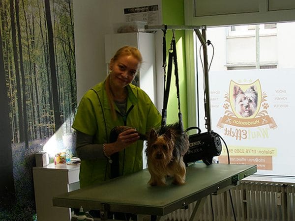 Hundefriseurin Sandra Busse